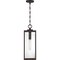 Quoizel Westover 1-Light Western Bronze Mini Pendant WVR1507WT - alternate 4